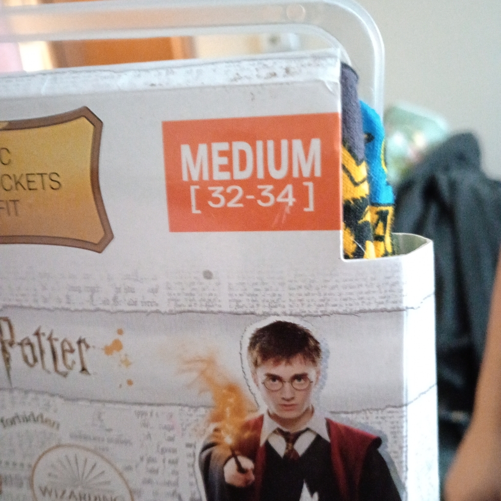 Men's Harry Potter lounge pants
